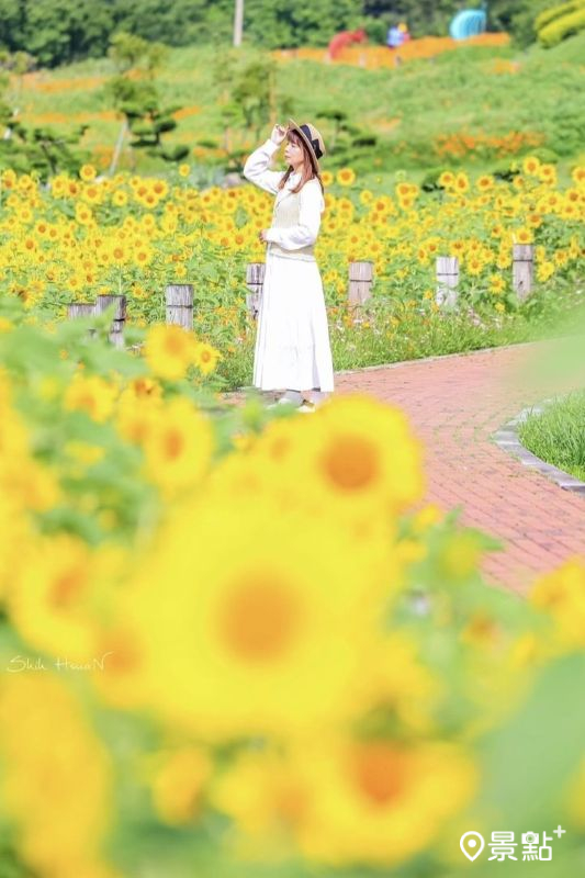 （圖／shih_hsuan6260）