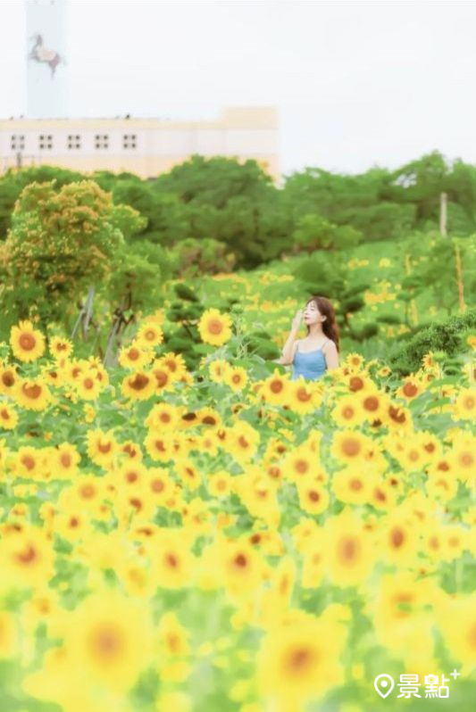 （圖／hychieh0901）