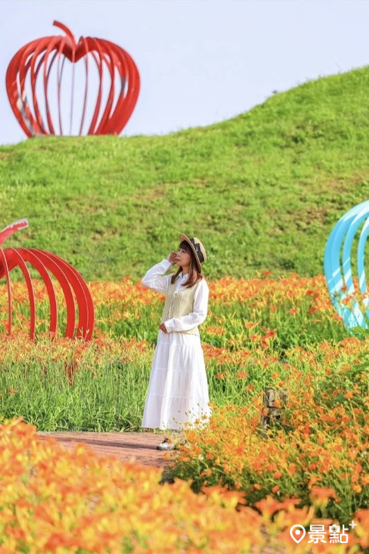 后里環保公園金針花美景。（圖／shih_hsuan6260）