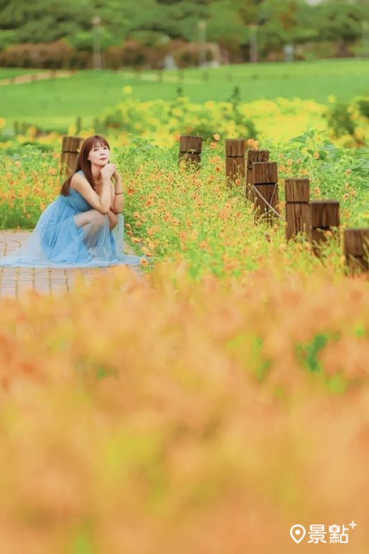 （圖／hychieh0901）