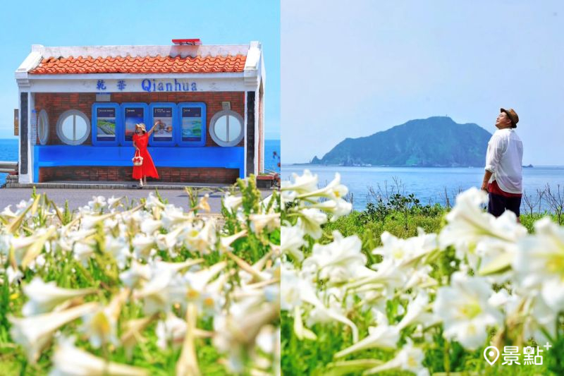 野百合花海Ｘ海景公車亭Ｘ基隆嶼同框！北海岸9大賞花景點美拍必收