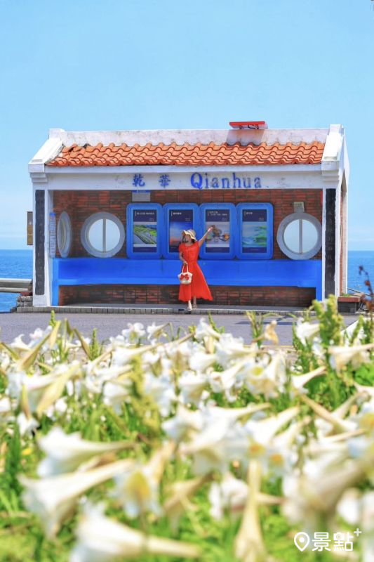 石門區乾華公車亭野百合美景。（圖／yijiun_lee）