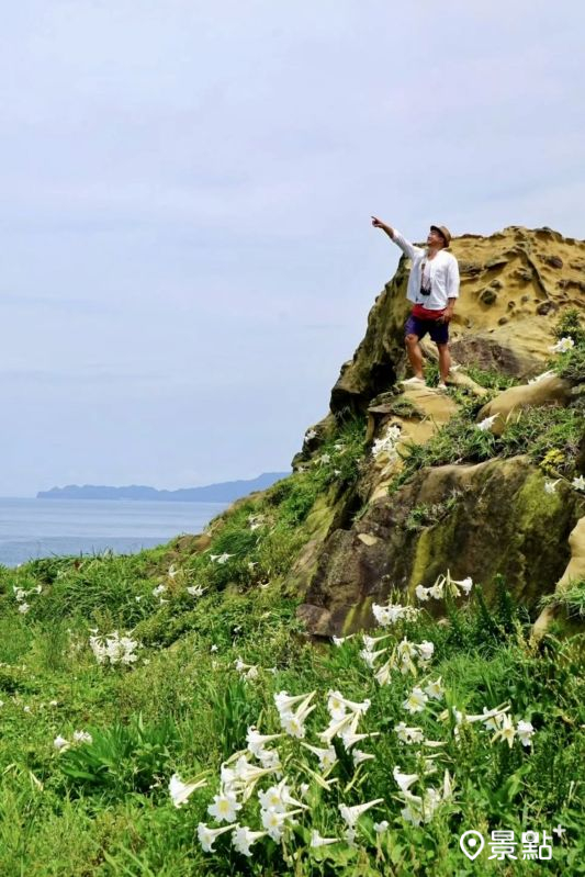 （圖／chih07090616）