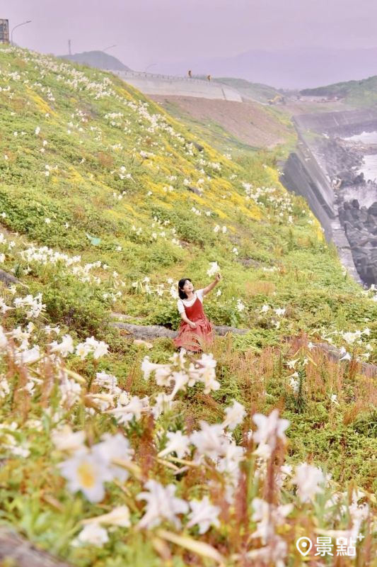 （圖／laiyuping9520，以下同）