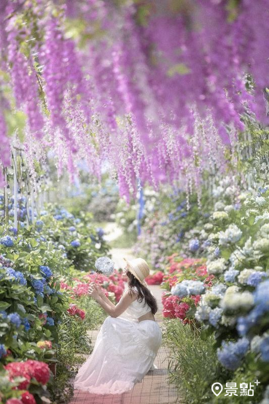 （圖／lilianwang_tw）