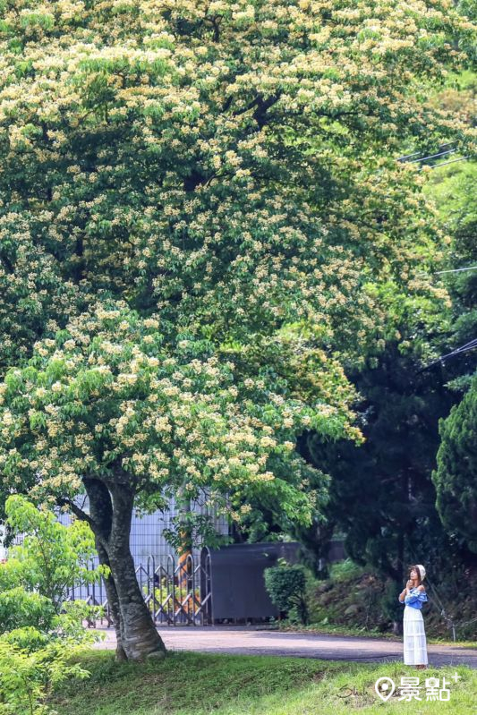 （圖／shih_hsuan6260，以下同）