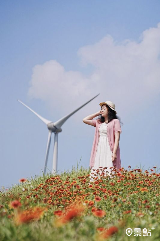 （圖／a_tsai324）