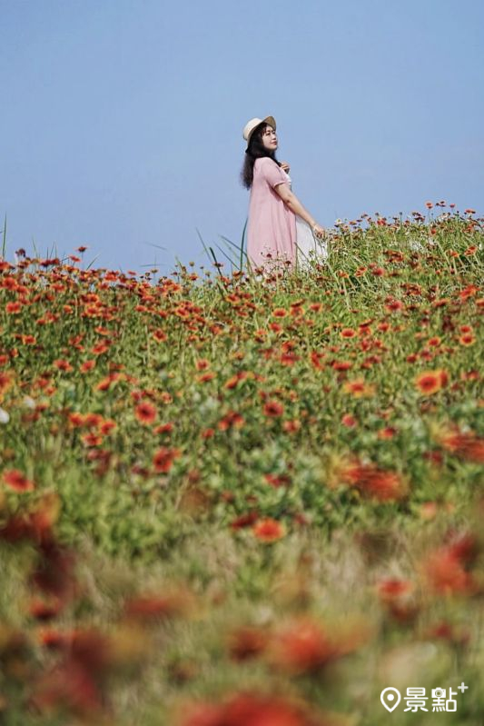 （圖／a_tsai324）