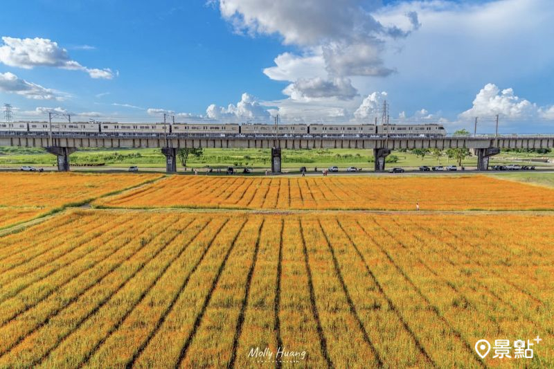 （圖／molly888666）