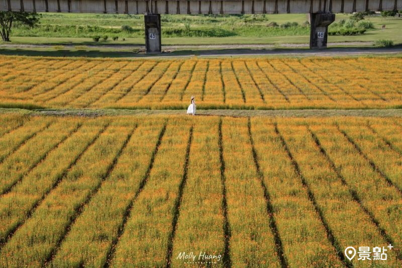 （圖／molly888666）