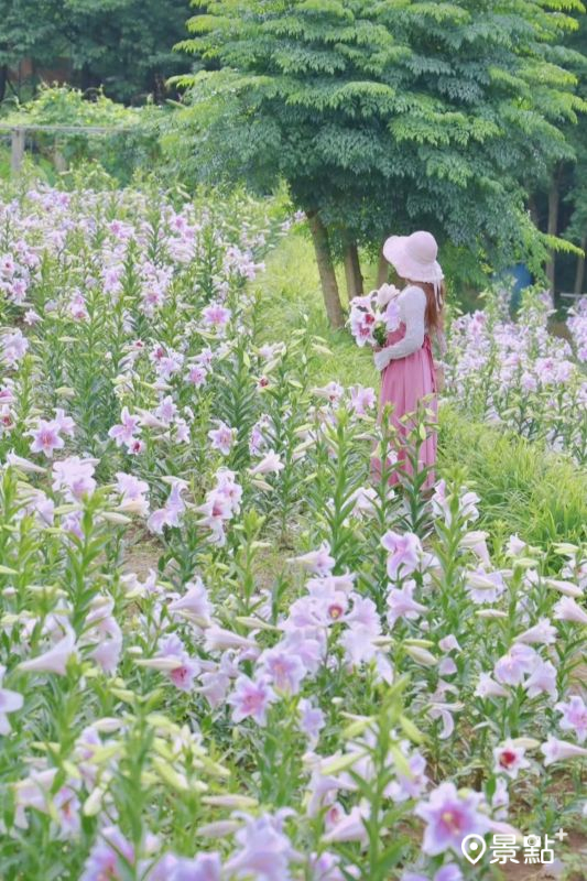 （圖／yijiun_lee）