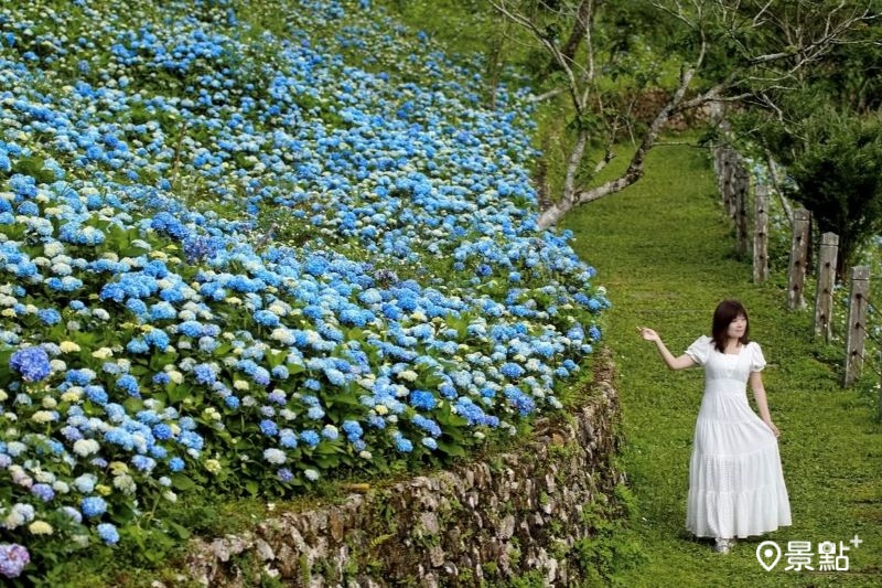 （圖／meow_hm_a1522c2418）