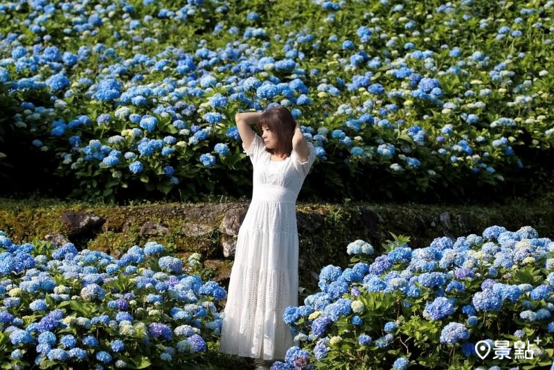 （圖／meow_hm_a1522c2418，以下同）