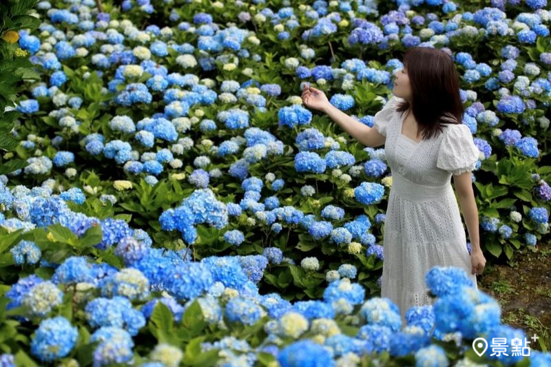 （圖／meow_hm_a1522c2418，以下同）