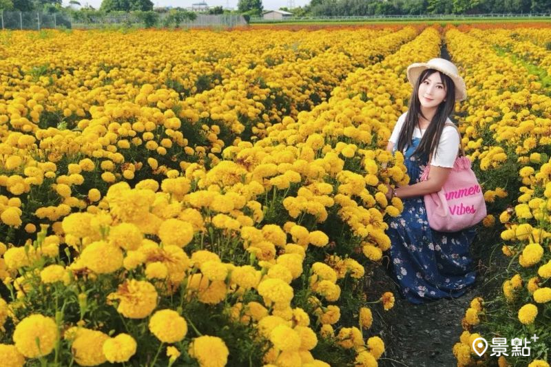 （圖／yishan1128，以下同）