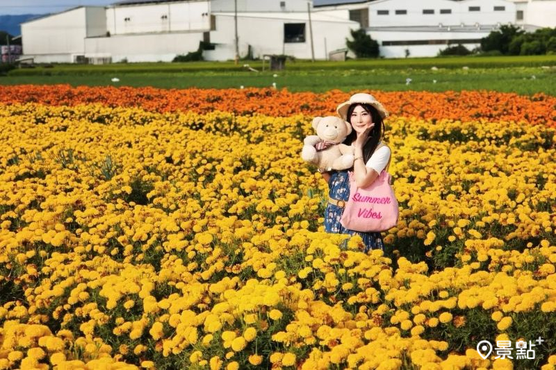 （圖／yishan1128）