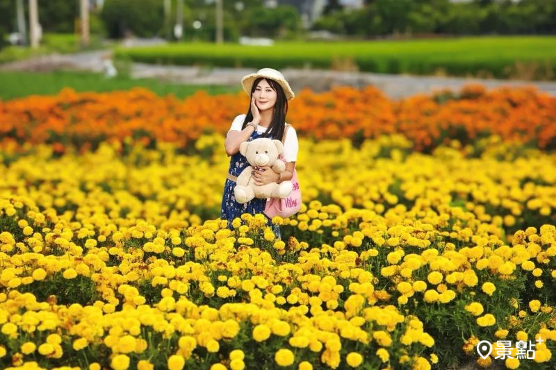 （圖／yishan1128）