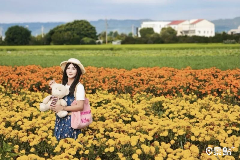 （圖／yishan1128，以下同）