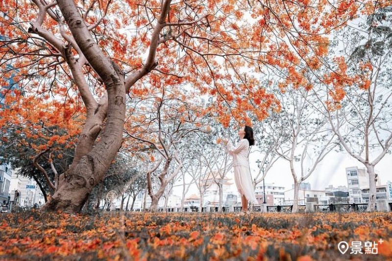 (圖/wusheng_photo)
