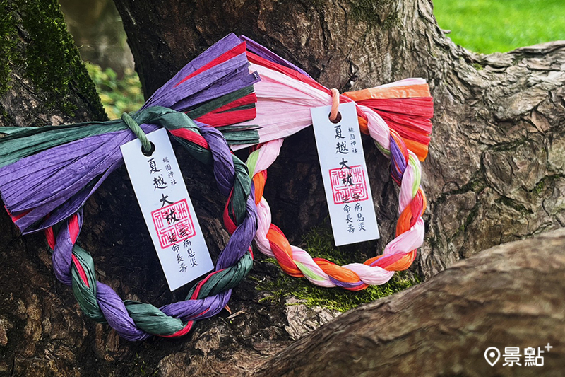 小型夏越茅之輪。