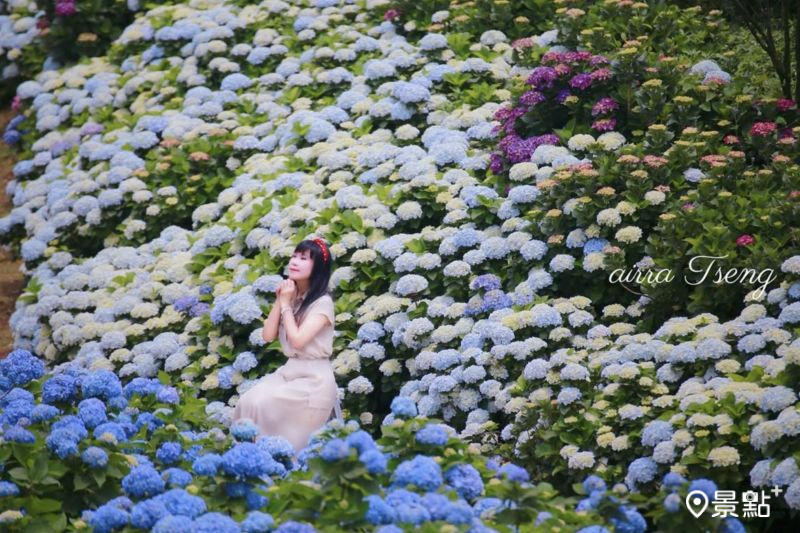 （圖／airratseng）