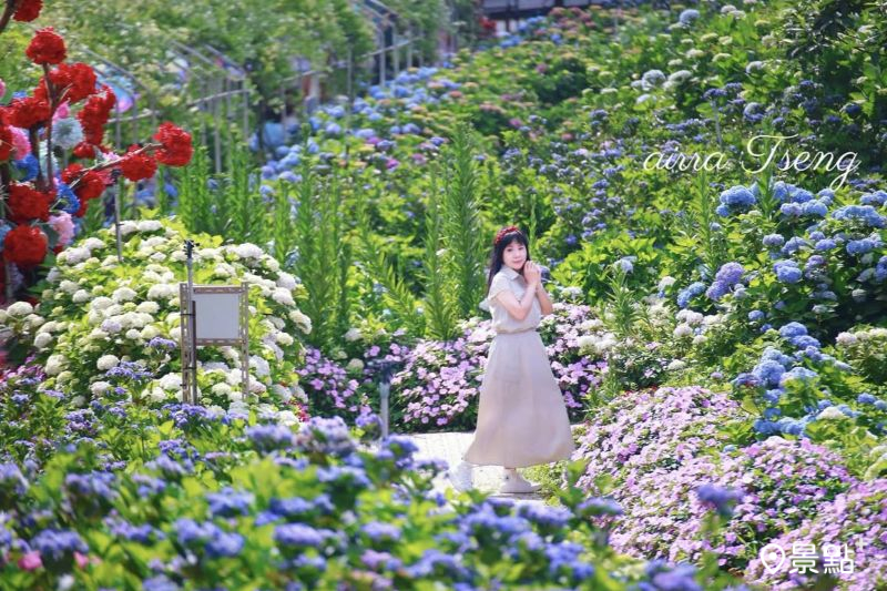 （圖／airratseng）