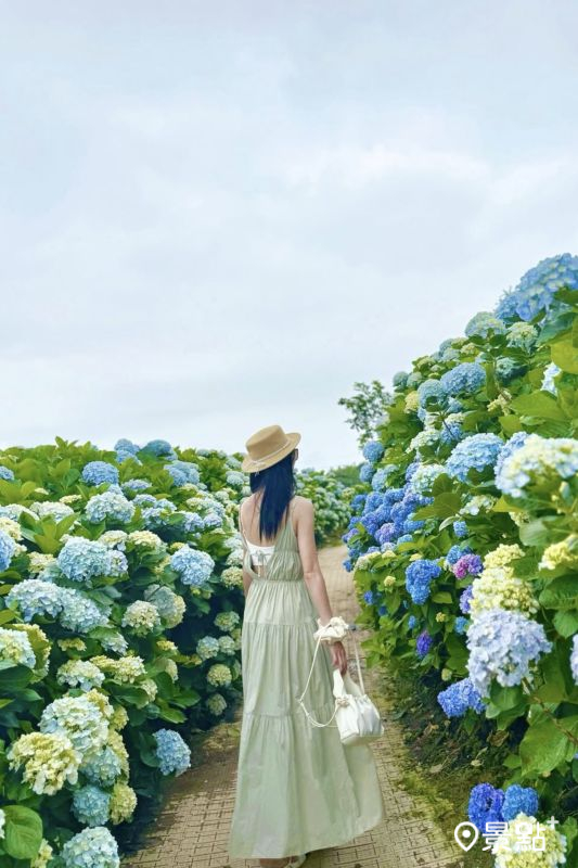 （圖／peiying.0615）