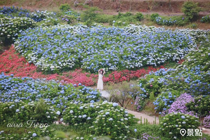 （圖／airratseng）