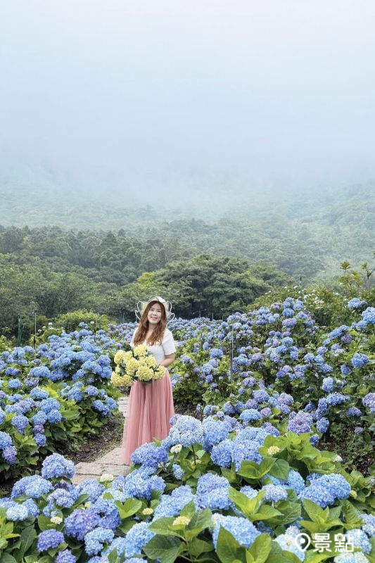 （圖／ariel_apple419）