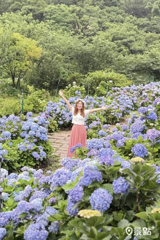 （圖／ariel_apple419，以下同）