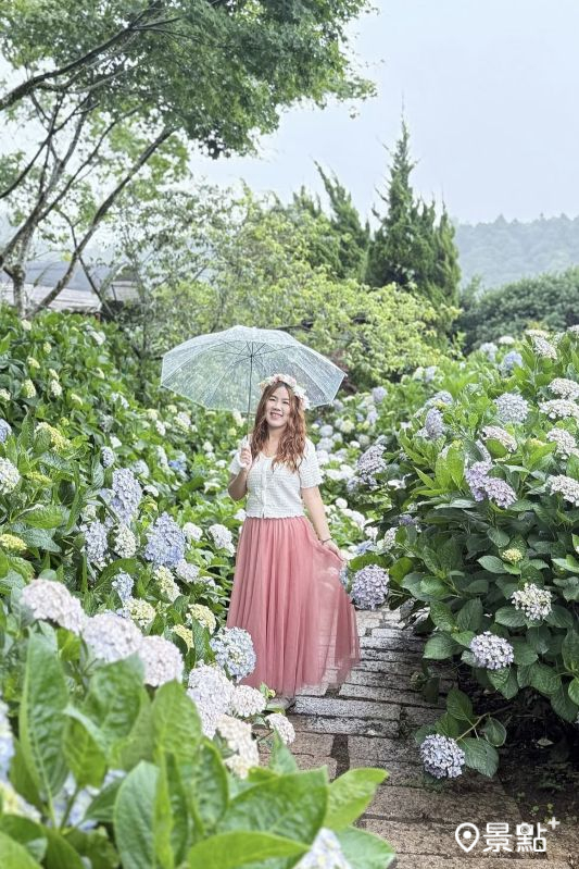 （圖／ariel_apple419，以下同）