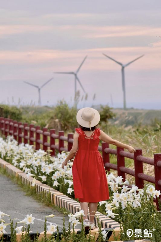 （圖／laiyuping9520，以下同）