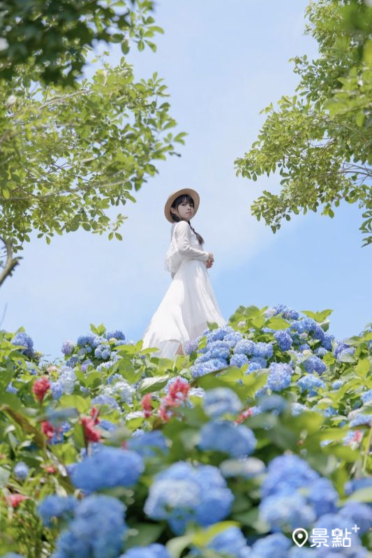 （圖／tsotso_1206，以下同）