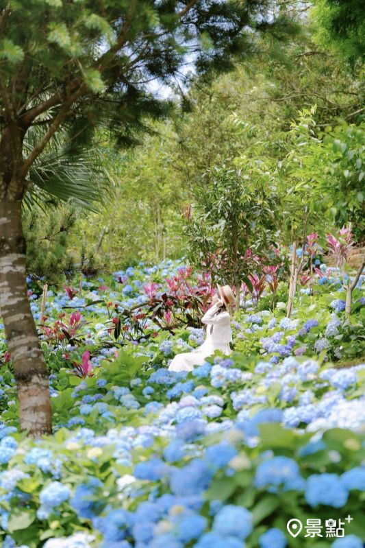 （圖／tsotso_1206，以下同）