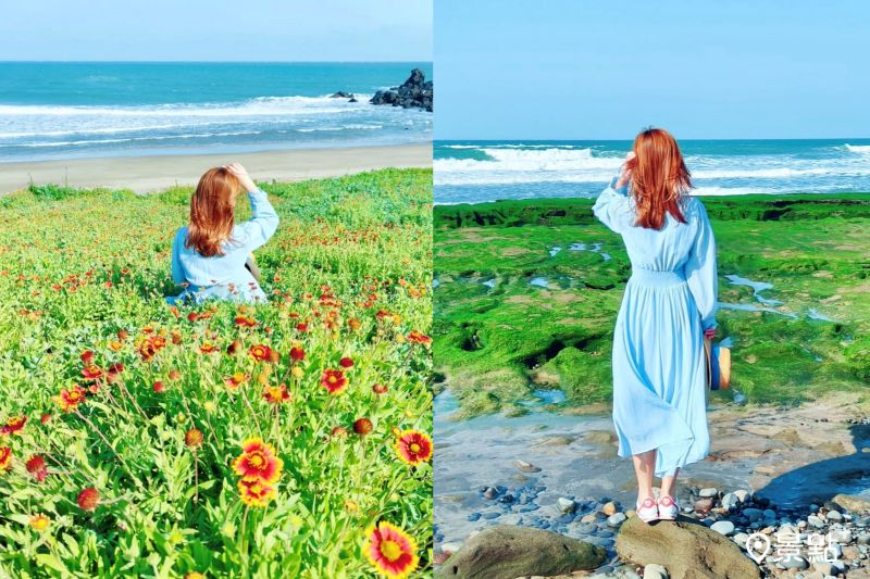 老梅沙灘天人菊及綠石槽景色絕美，吸引人前往取景。（圖／summer6639）