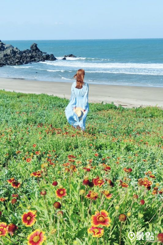 （圖／summer6639）