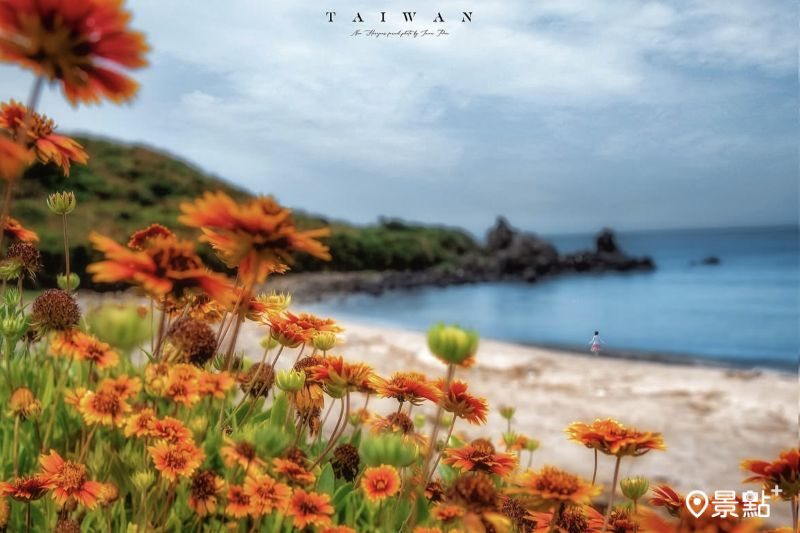 （圖／imma_pon）