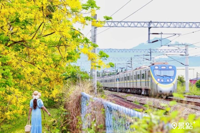 屏東阿勃勒花海同框火車美景，吸引人前往拍照打卡。（圖／yijiun_lee）