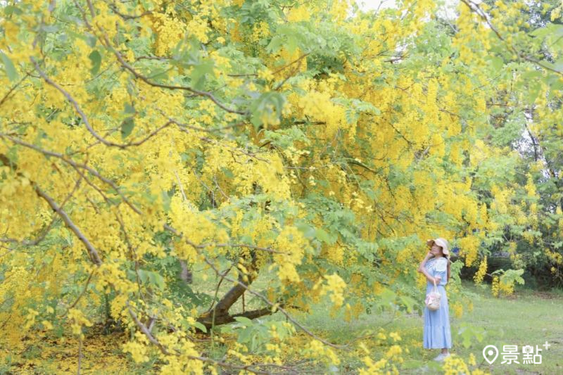 （圖／yijiun_lee，以下同）