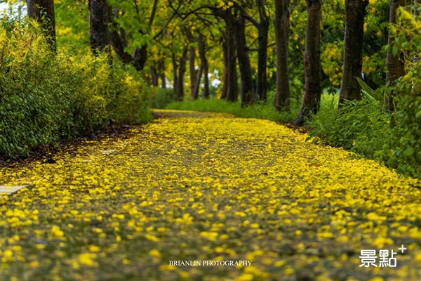 嘉義六腳鄉的蒜鰲自行車步道 (圖／brianphoto1122)