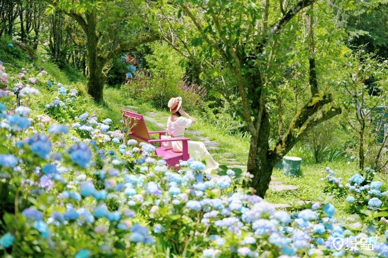 （圖／tsotso_1206）