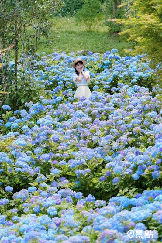 （圖／tsotso_1206，以下同）