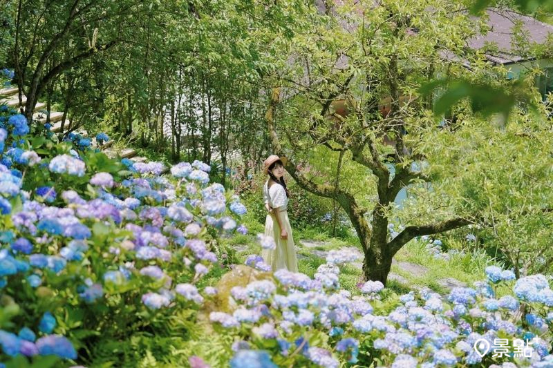 （圖／tsotso_1206，以下同）