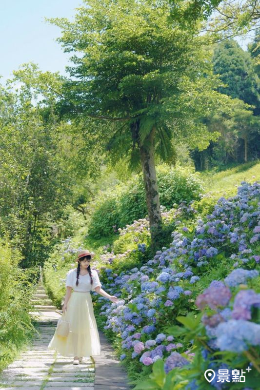 （圖／tsotso_1206）