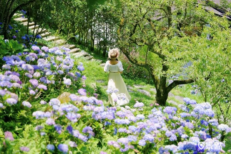 （圖／tsotso_1206）