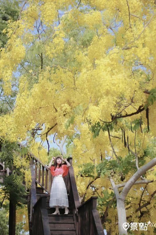 （圖／airratseng）