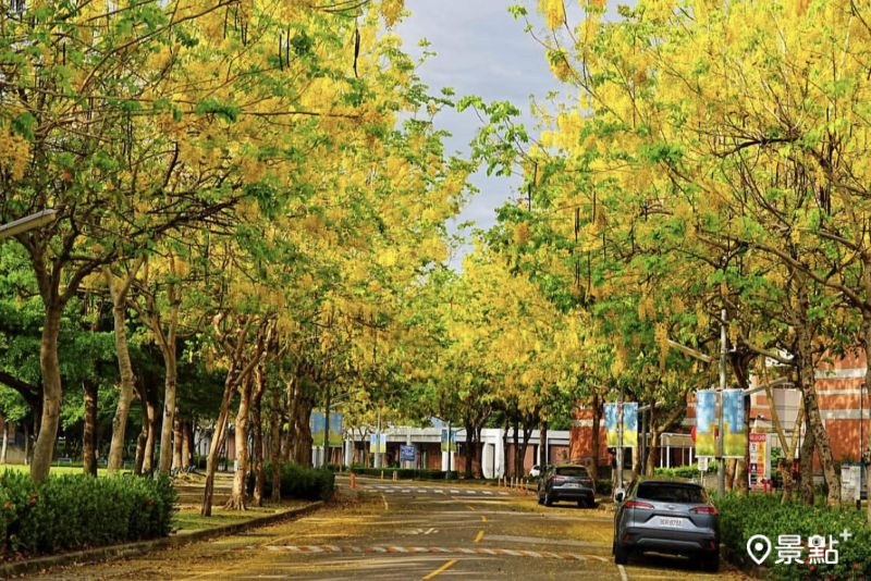 （圖／lucky296no1，以下同）