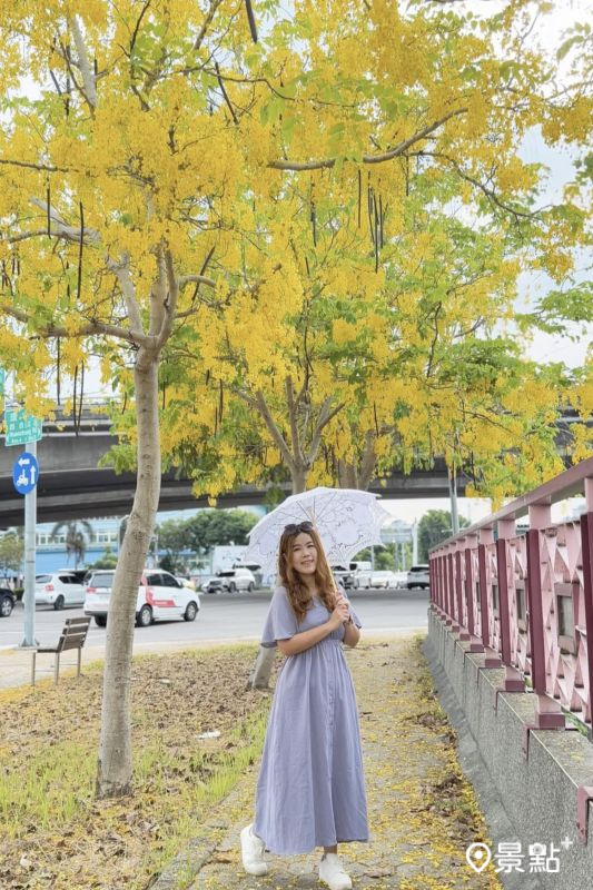 於2025年6月1日拍攝的龍德路、五權西路二段阿勃勒花海。（圖／ariel_apple419，以下同）