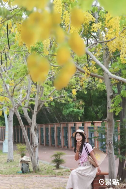 （圖／yishan1128）