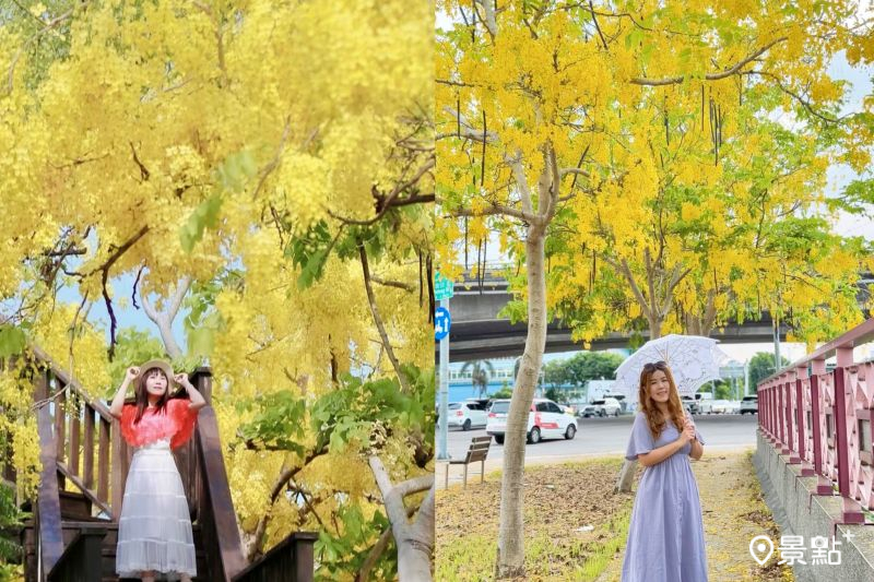 台中31大阿勃勒賞花點IG美拍必收。（圖／airratseng、ariel_apple419）